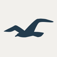 Hollister logo